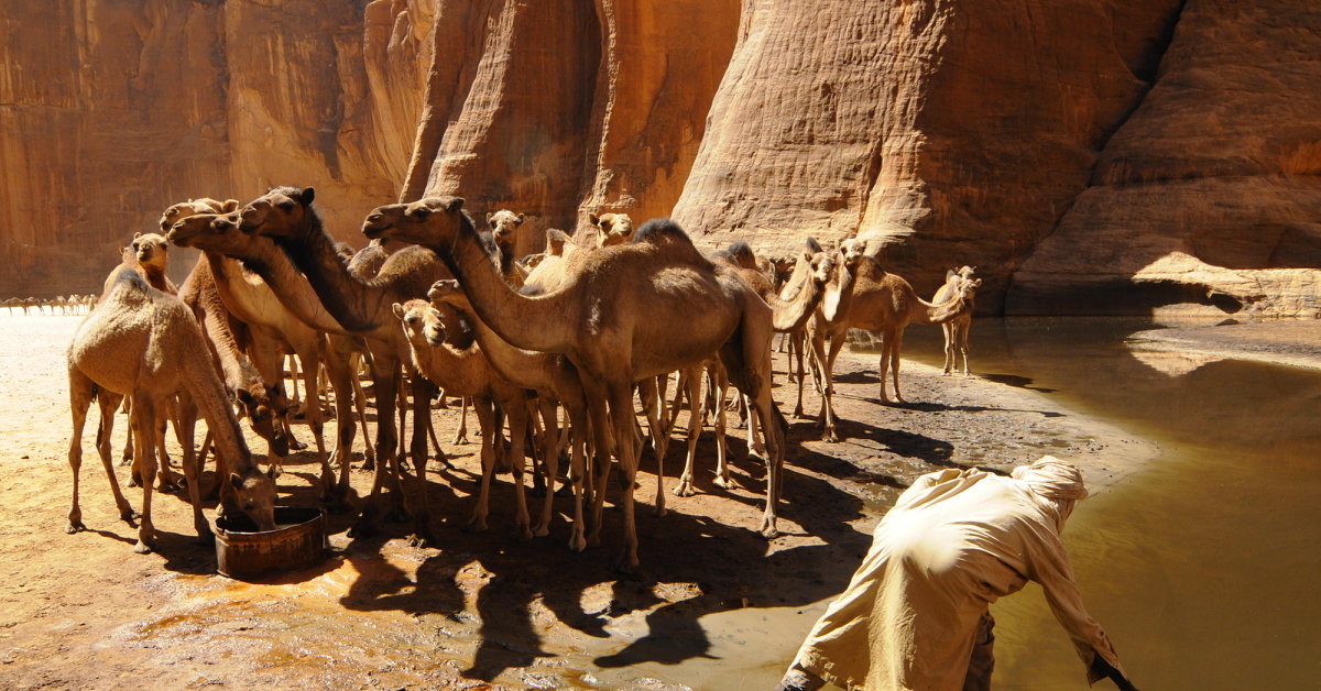 Chad