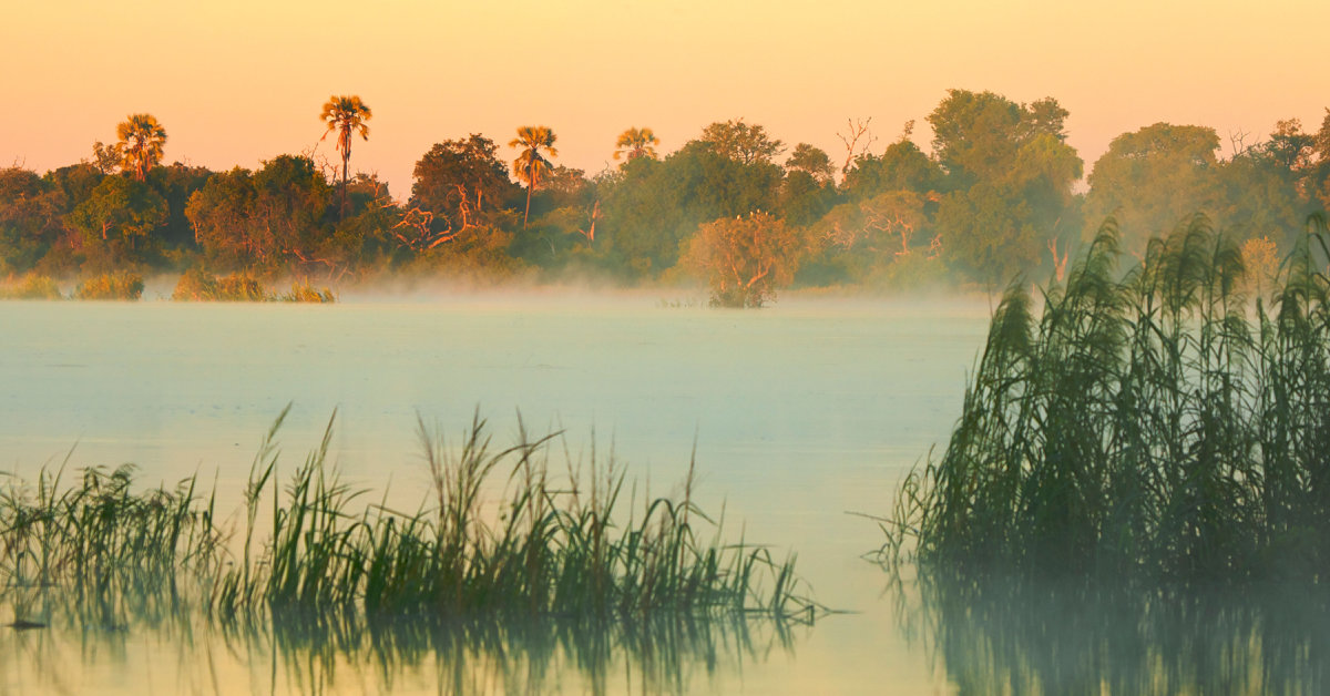 Zambia